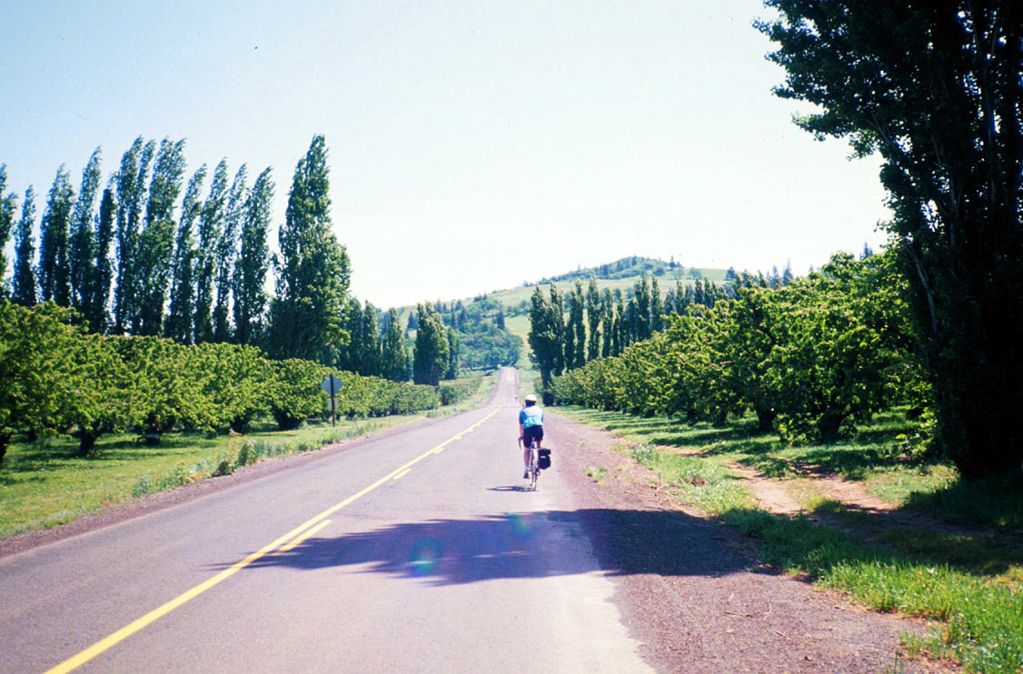 Cascade Ramblings Ramblings Honeymoon Bicycle Tour Day 3 Rowena Crest Loop
